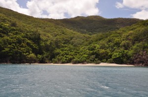 Butterfly Bay, Hook Island