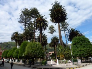 Park, Socrata