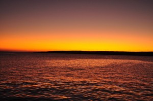 DSC_1337