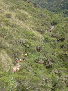 A long queue along the trek