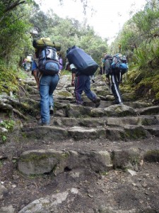 Not an easy walk uphill!