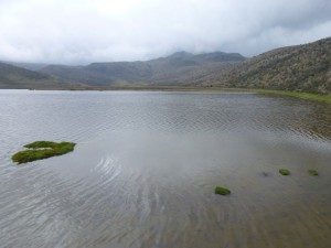 Limpiopungo Laguna ,3892m