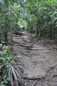 Tikal National Park