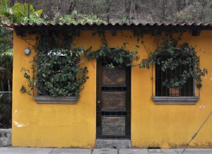 Picturesque houses