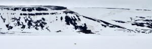 Bear walking away leaving behind impressive footprints (photo on the left)