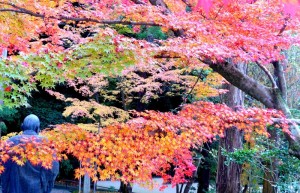 Imakumano-Kannonji Temple, November 28, 2014