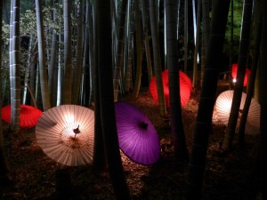 Kodaijin Temple. night viewing, November 29, 2014