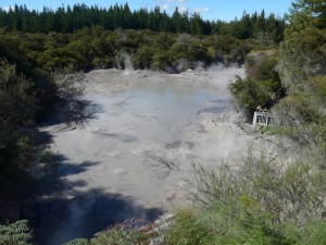 Mud Pool