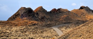 DSC_0082 (2)