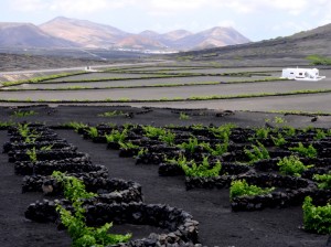 Lanzarote