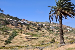 DSC_0621