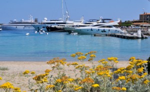 Port filled with plenty of yachts