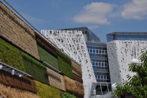 Israel - impressive vertical wall 