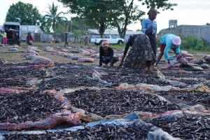 Madagascar-  world's largest producer of vanilla (90%) 