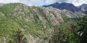 The path- along the gorge and up to the col