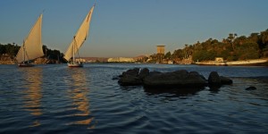 DSC05837