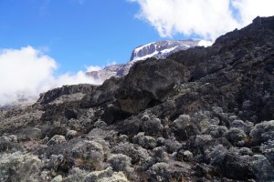 View of Kilimanjaro from below