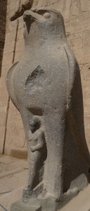 DSC05596
