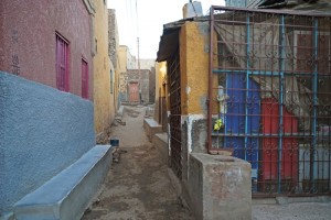 DSC05854