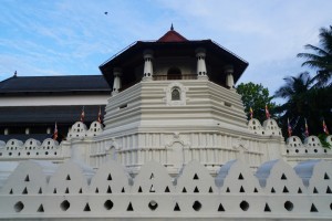 DSC07944