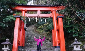  Steep ascent to Kamikra-jinja, Shingu 