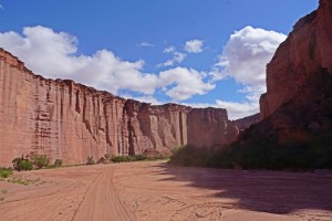 Talampaya NP - Canyon 