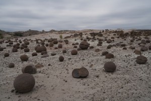 Ischigualasto NP - Dinosaur & Landscape