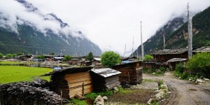 DSC07329