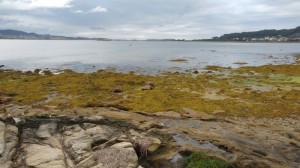 Isla de la Toja at low tide