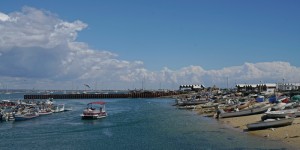 DSC09840